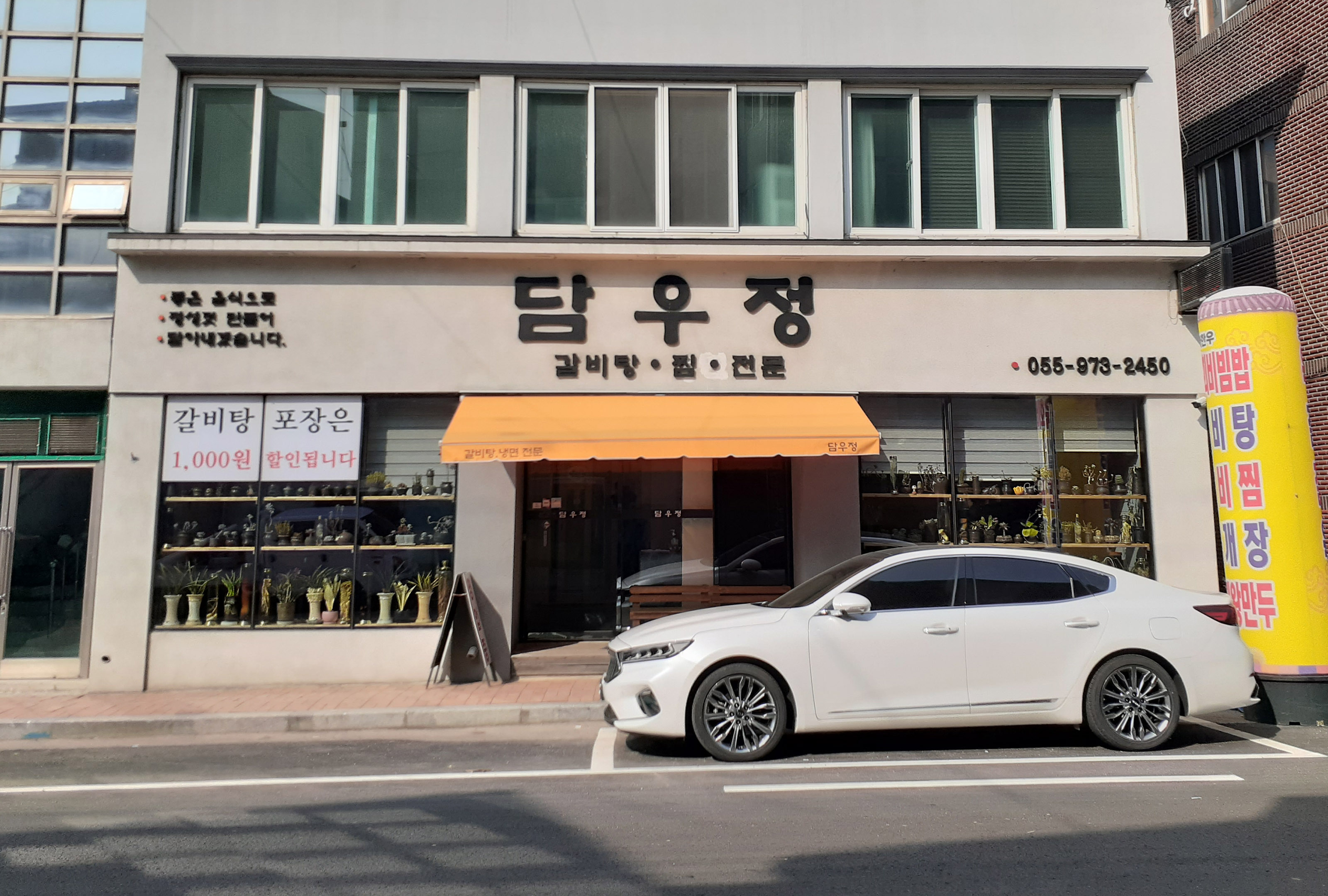 담우 이미지