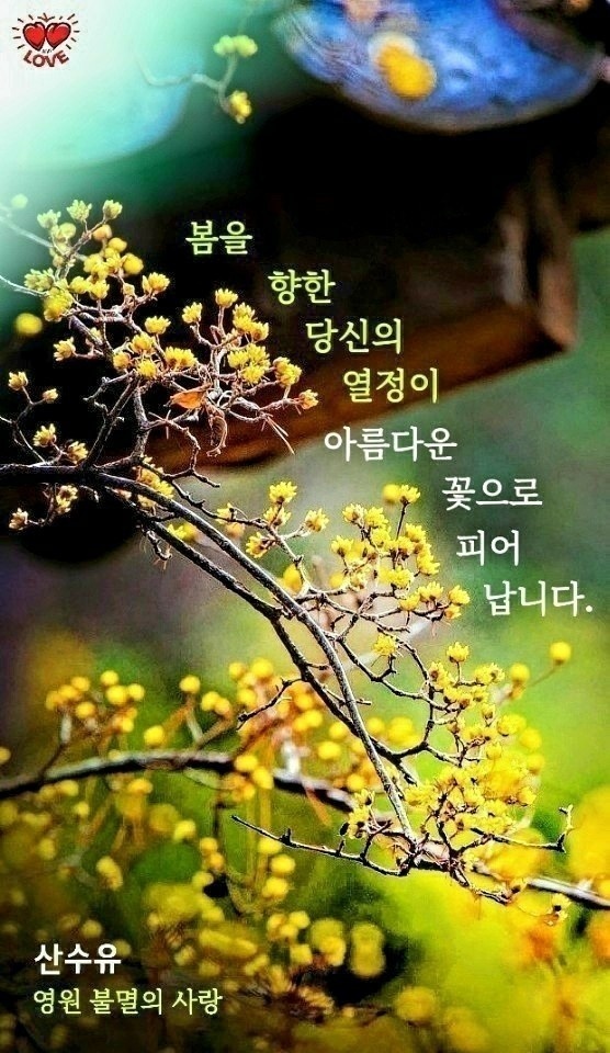 그대여 힘 내세요 - ‥‥공유 ♡ 좋은글 - 향기있는 좋은글 그대여 힘 내세요