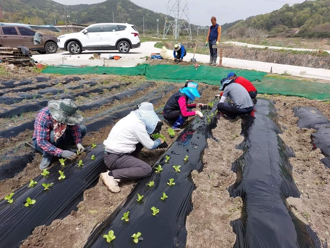 정읍시도시농업연구회 이미지
