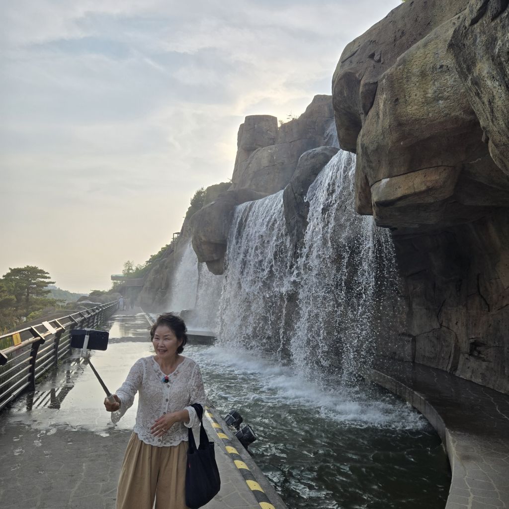 아라나라 이미지