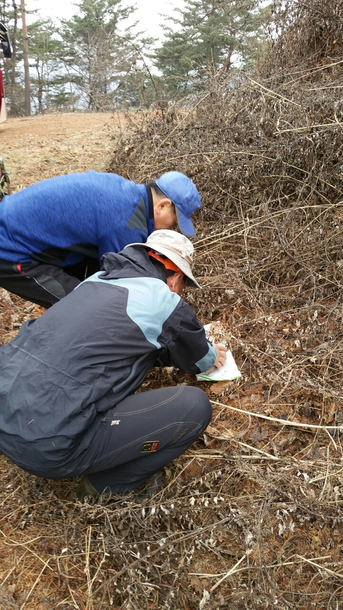 둔재수산 이미지