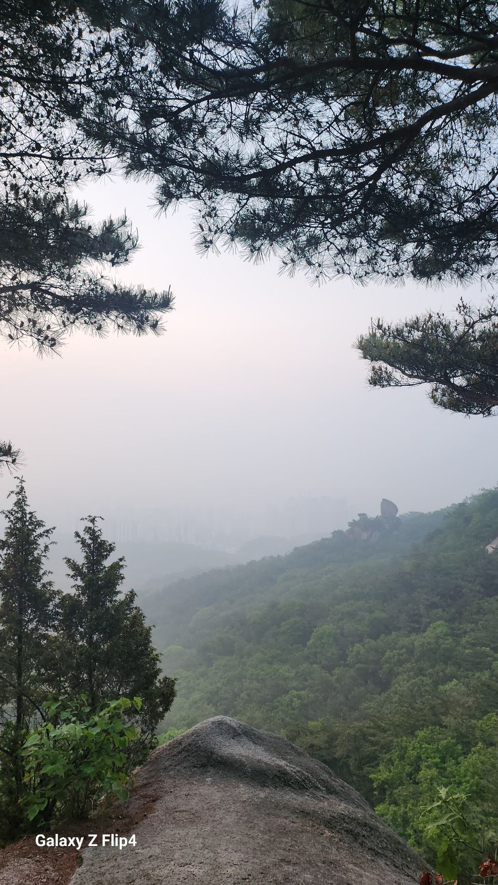 상상봉 이미지