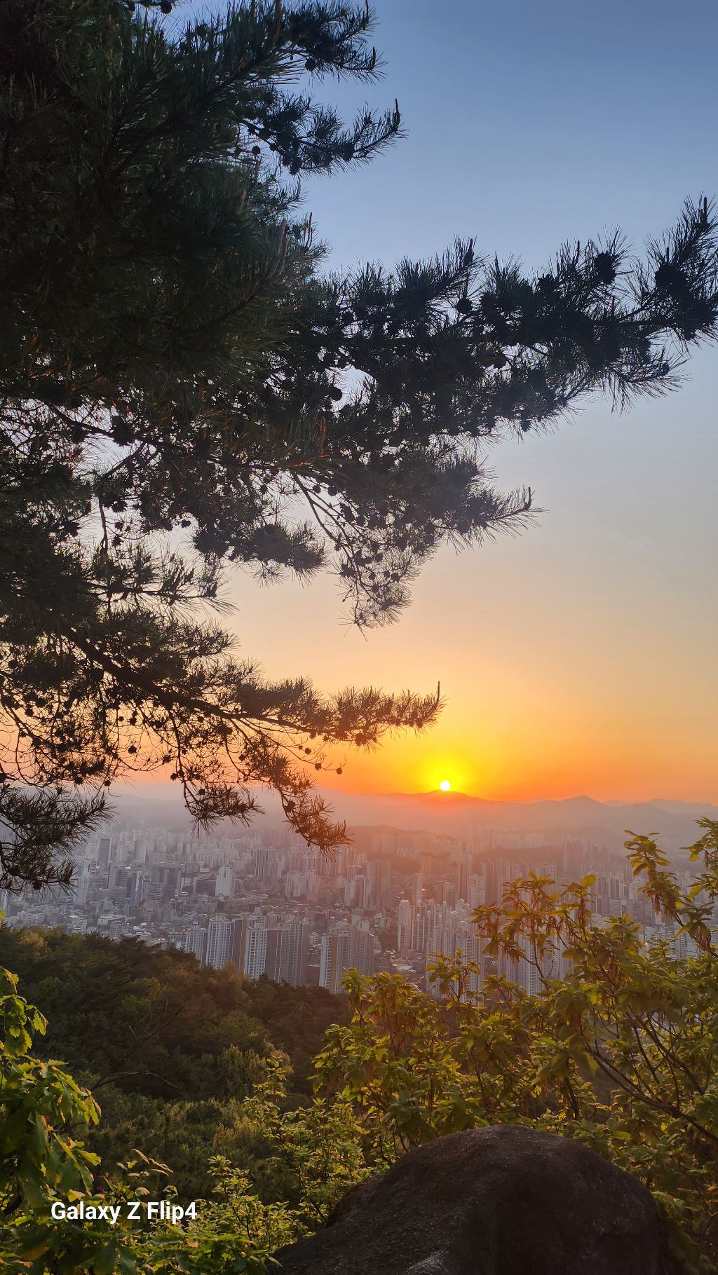 희망 이미지