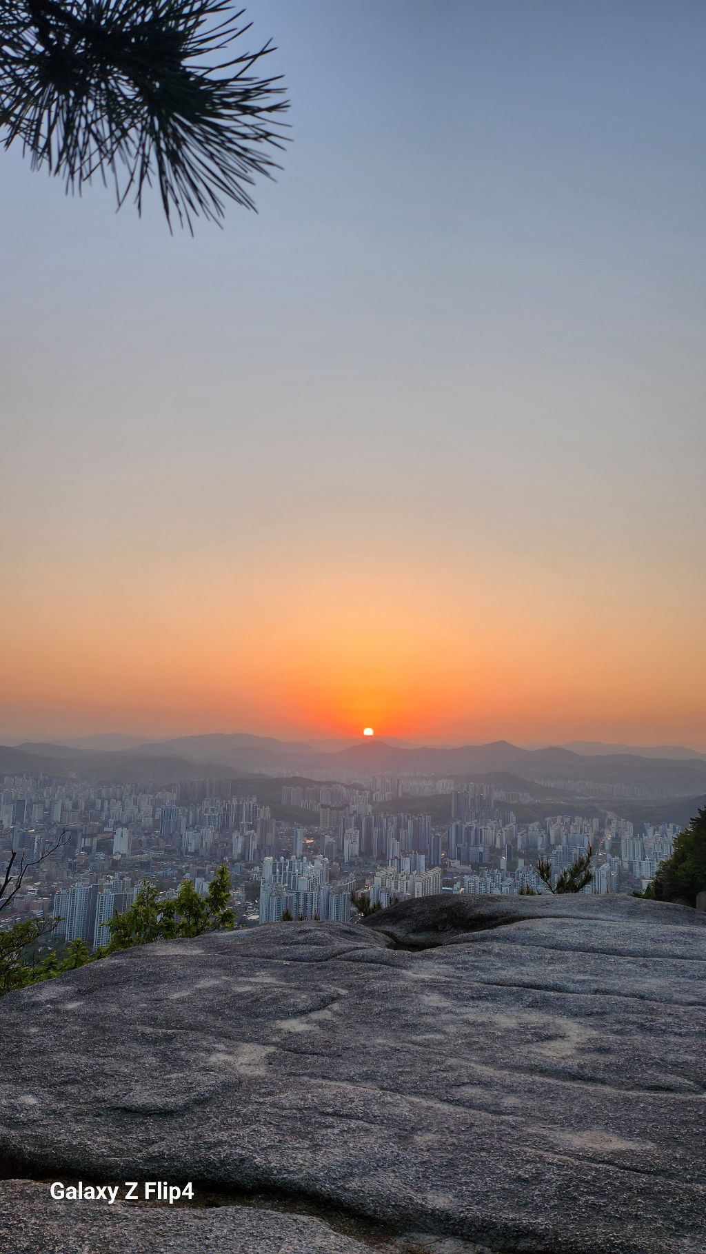 희망 이미지
