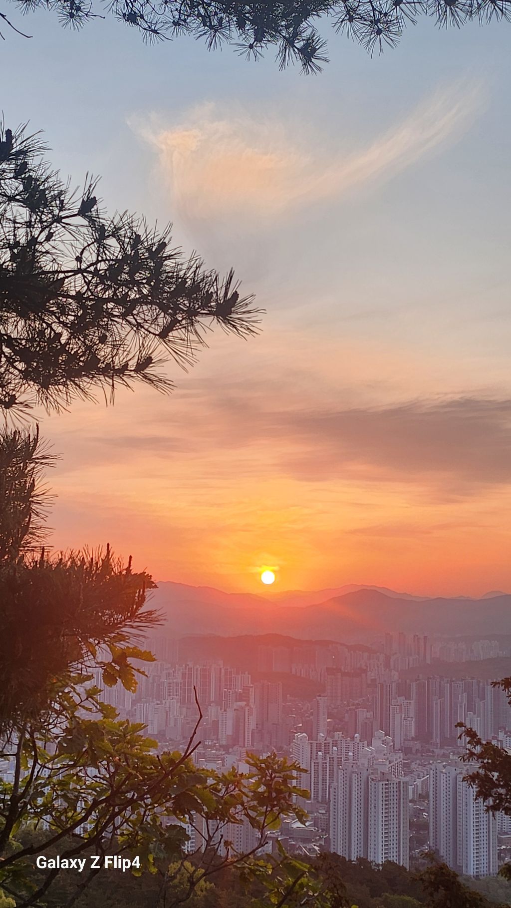 희망 이미지