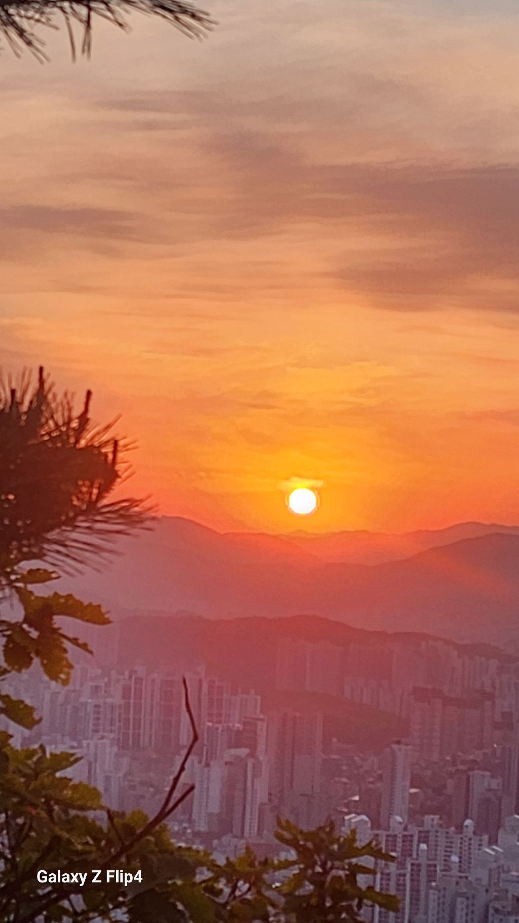 희망 이미지