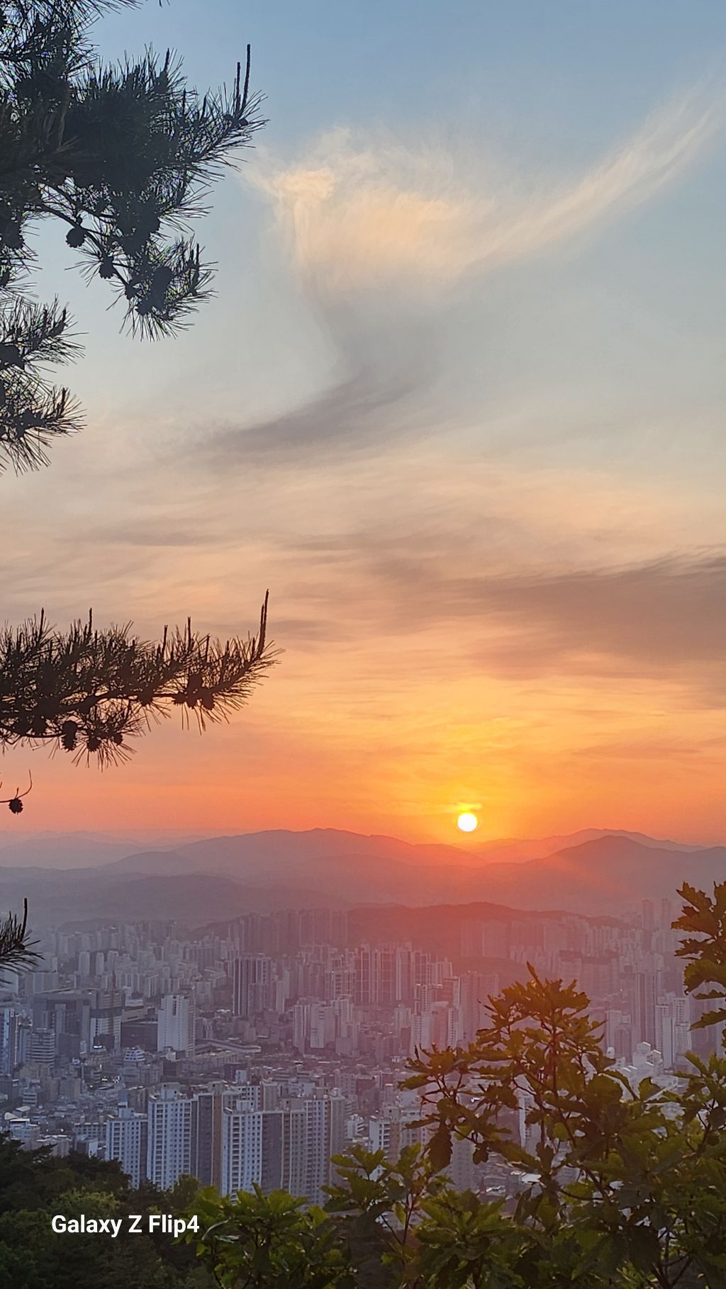 희망 이미지