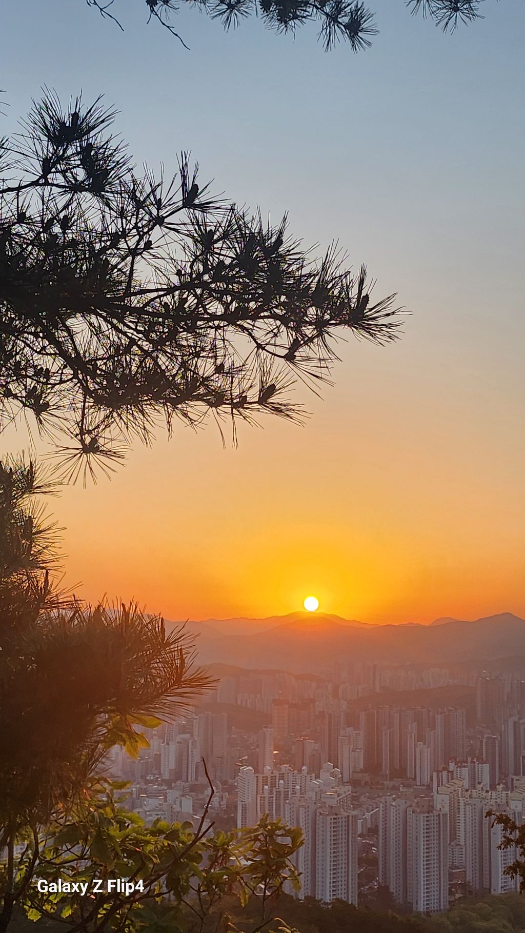 희망 이미지