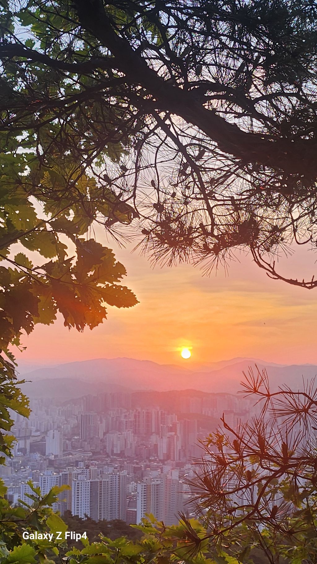희망 이미지