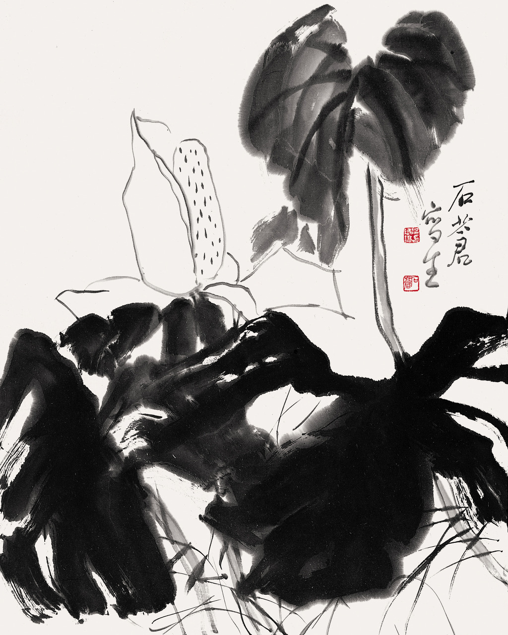 석창 이미지