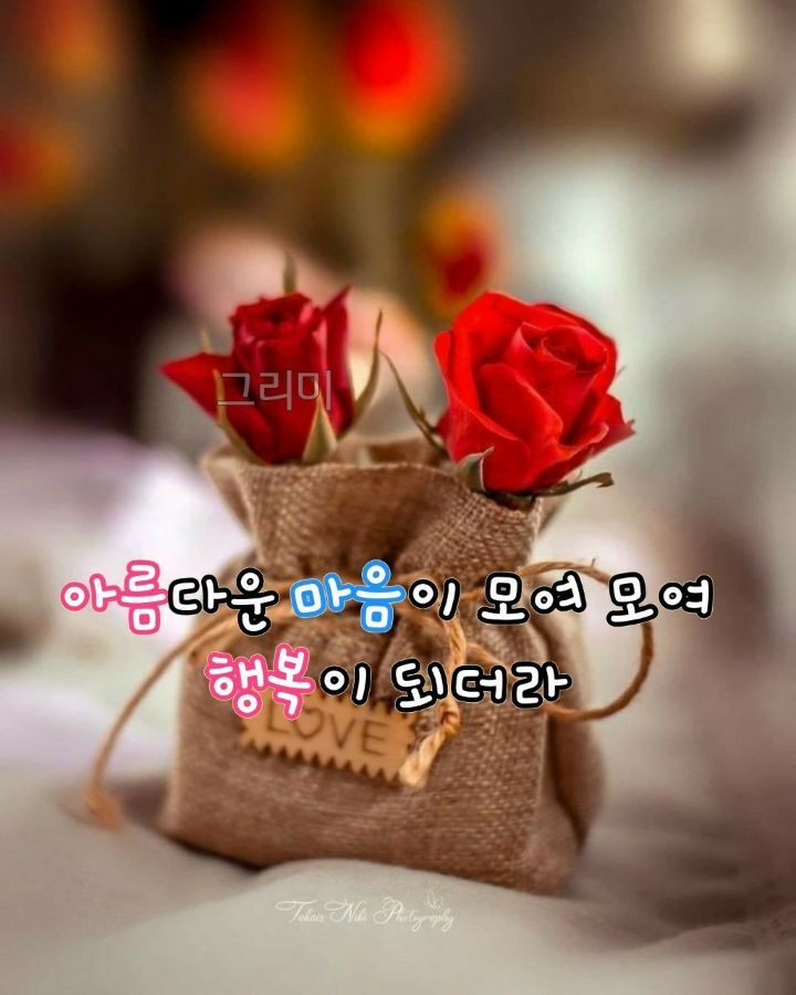 (주)산의 아침 이미지