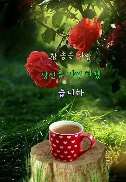 오늘하루 이미지