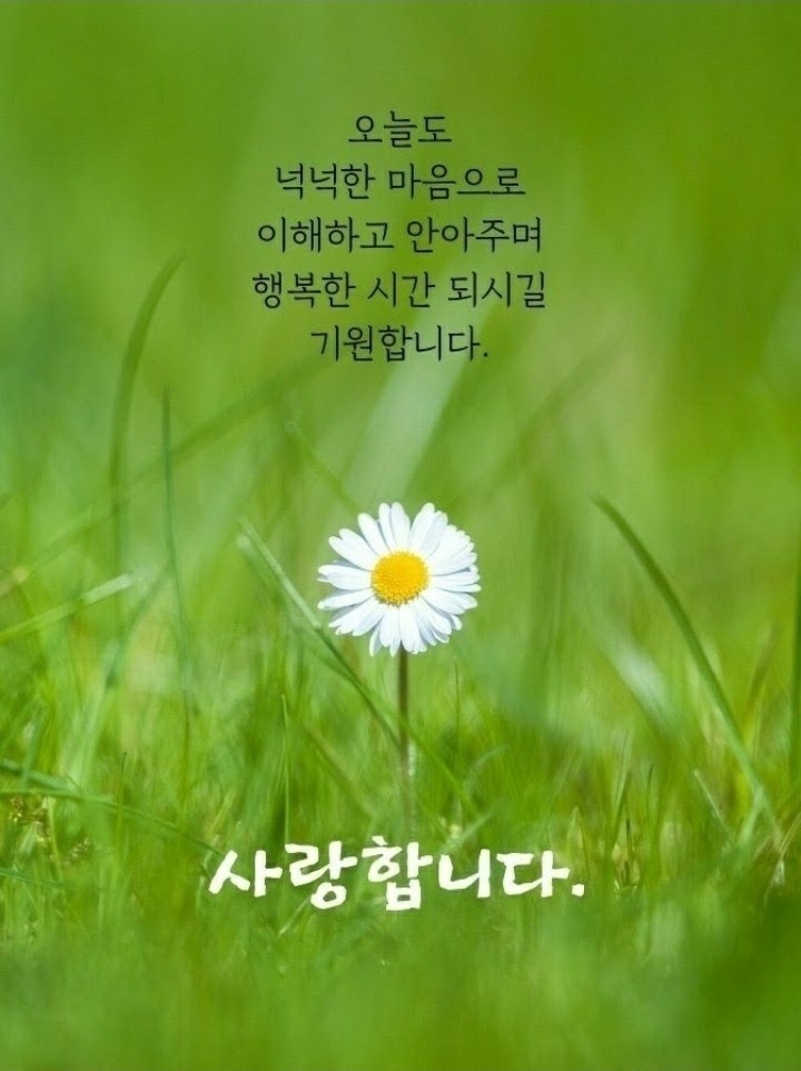 사노라면 이미지