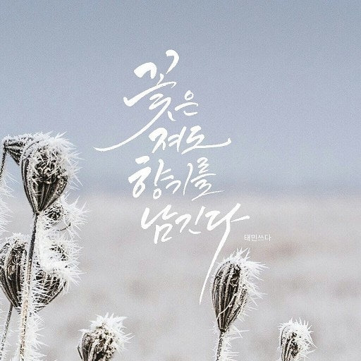 향기 이미지