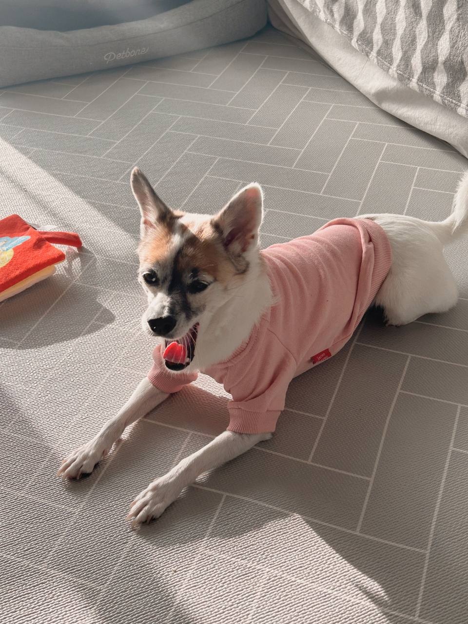 행복마루 이미지