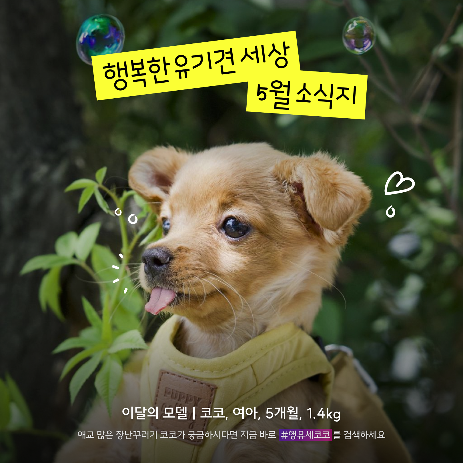 반짝세상 이미지