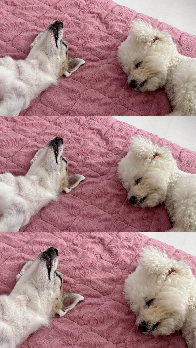 행복마루 이미지