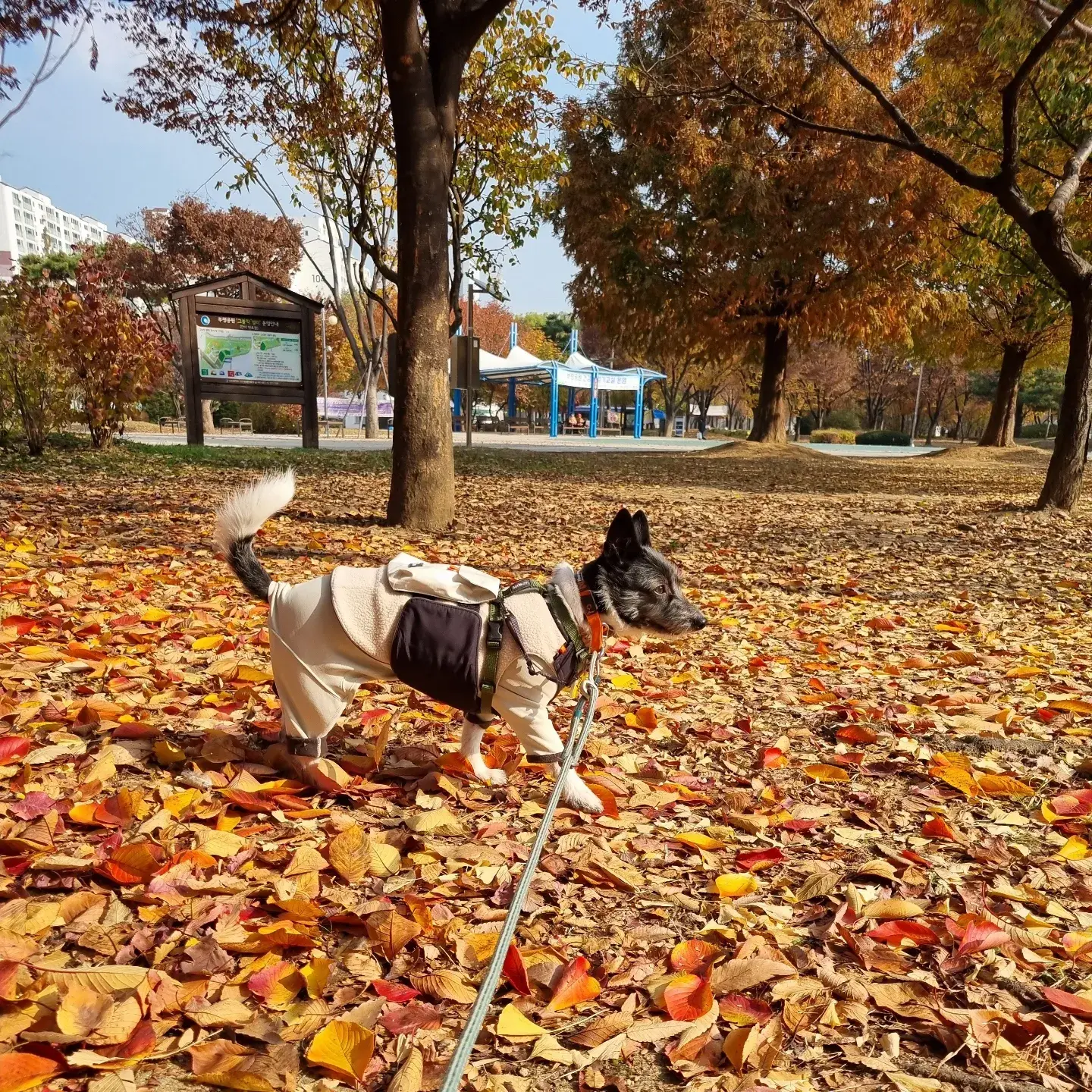오솔 이미지