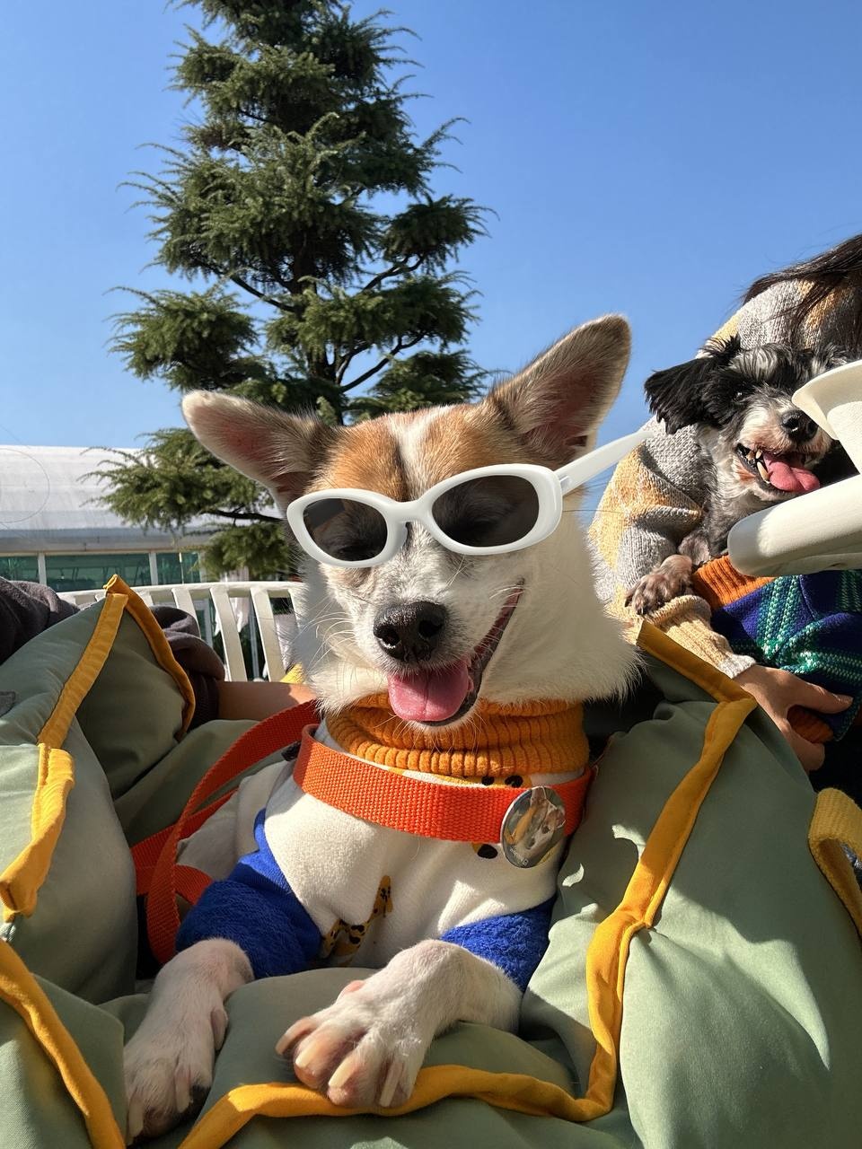 행복마루 이미지