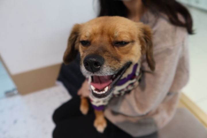 (주)두리 이미지