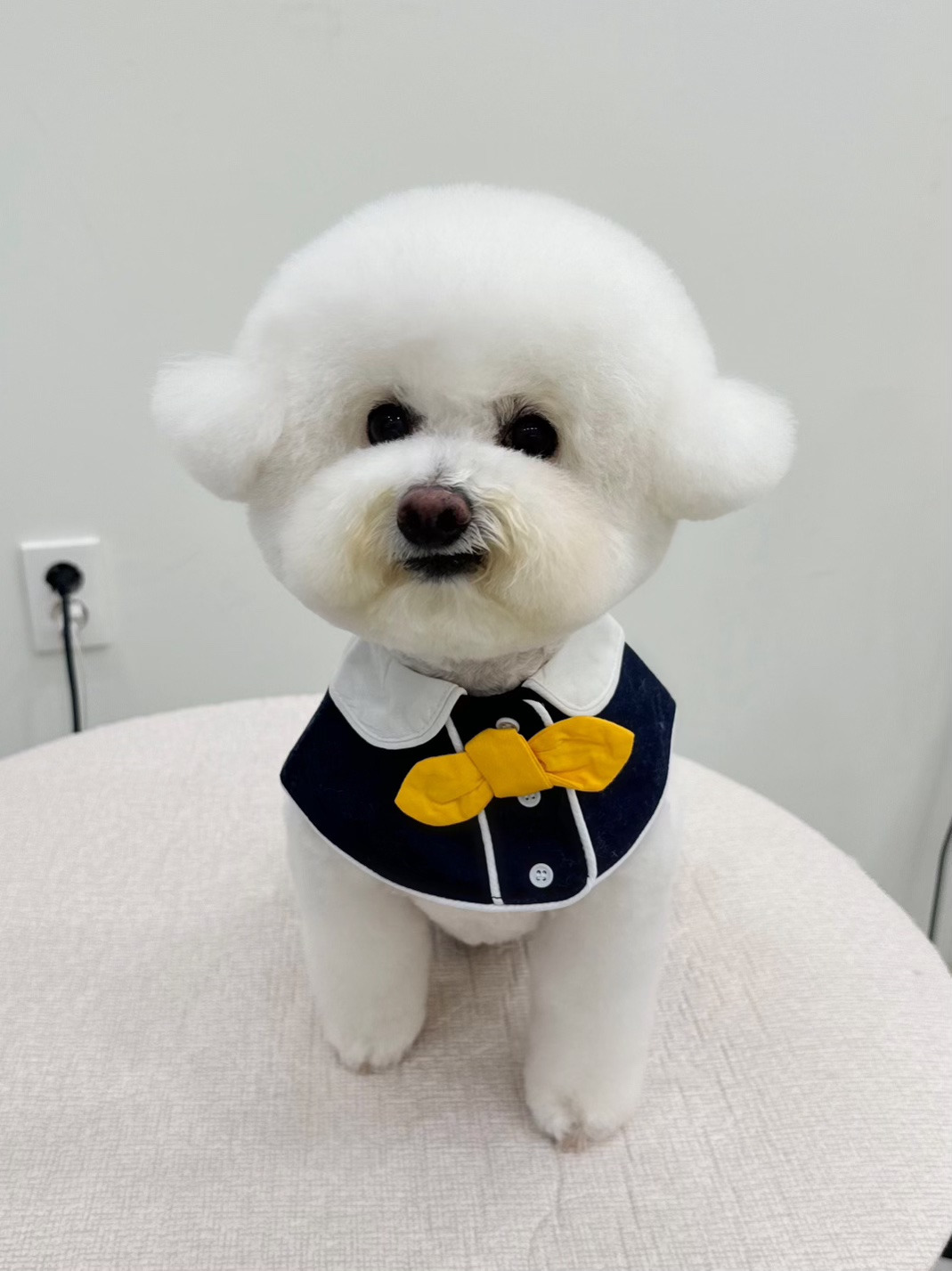 두리네 이미지