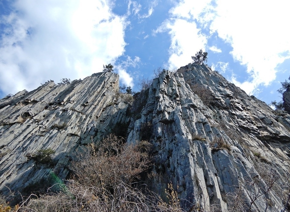 121호 이미지