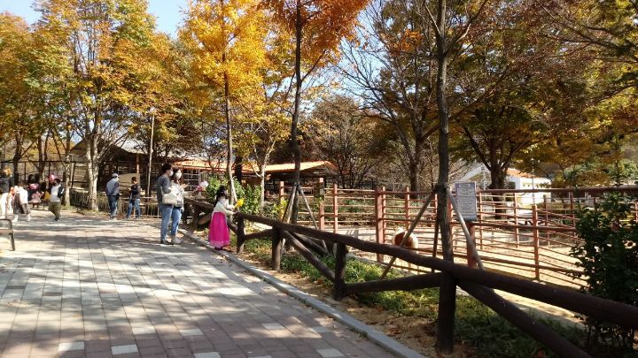전주드림랜드 이미지
