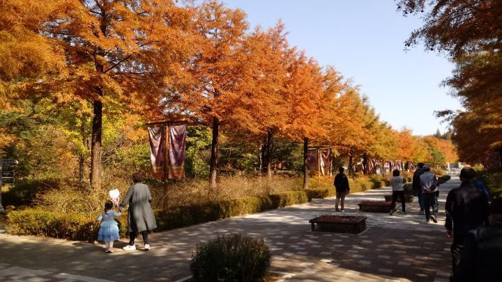 전주드림랜드 이미지