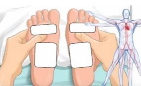 파스 이미지