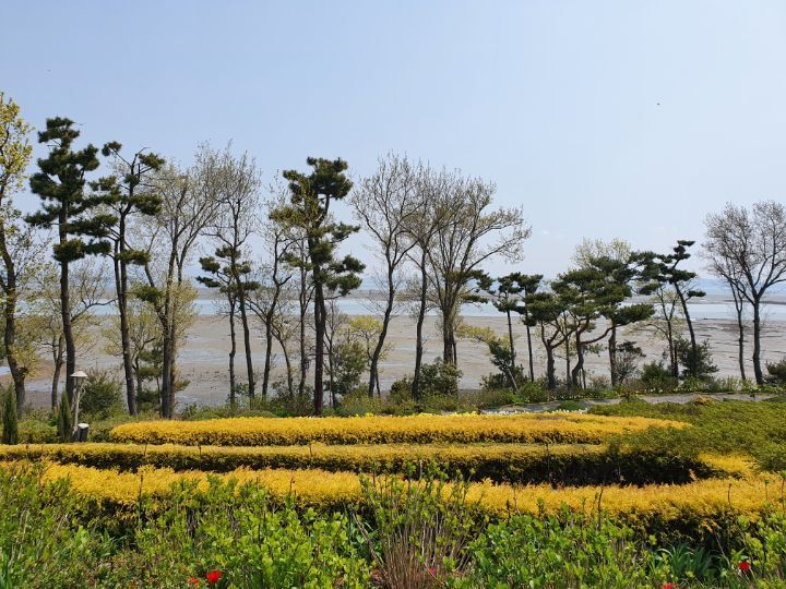 나문재카페 이미지