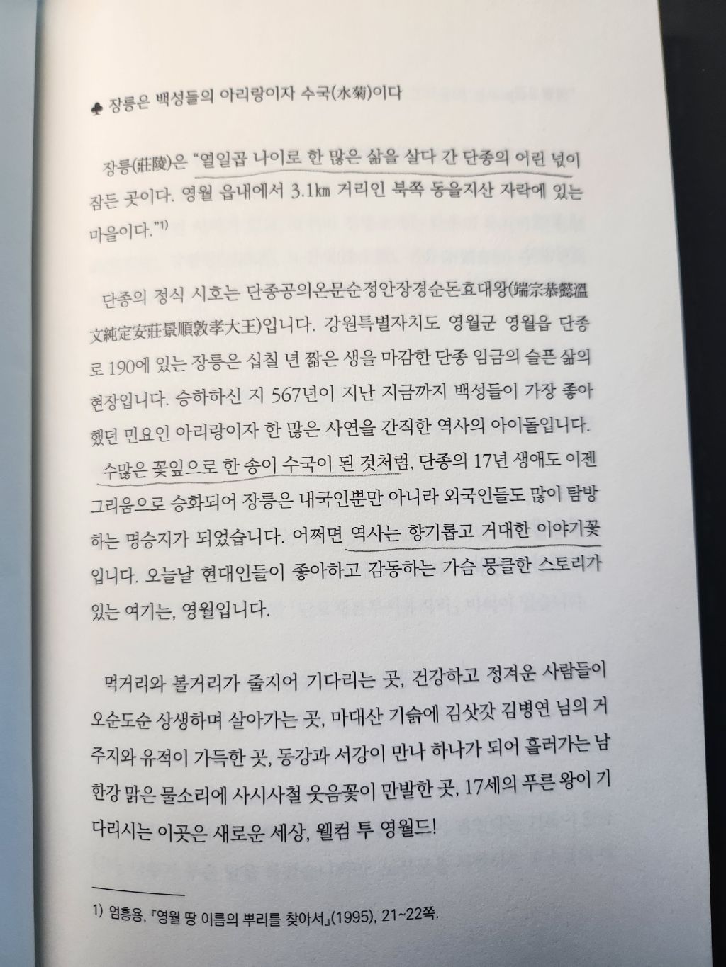 월드영 이미지