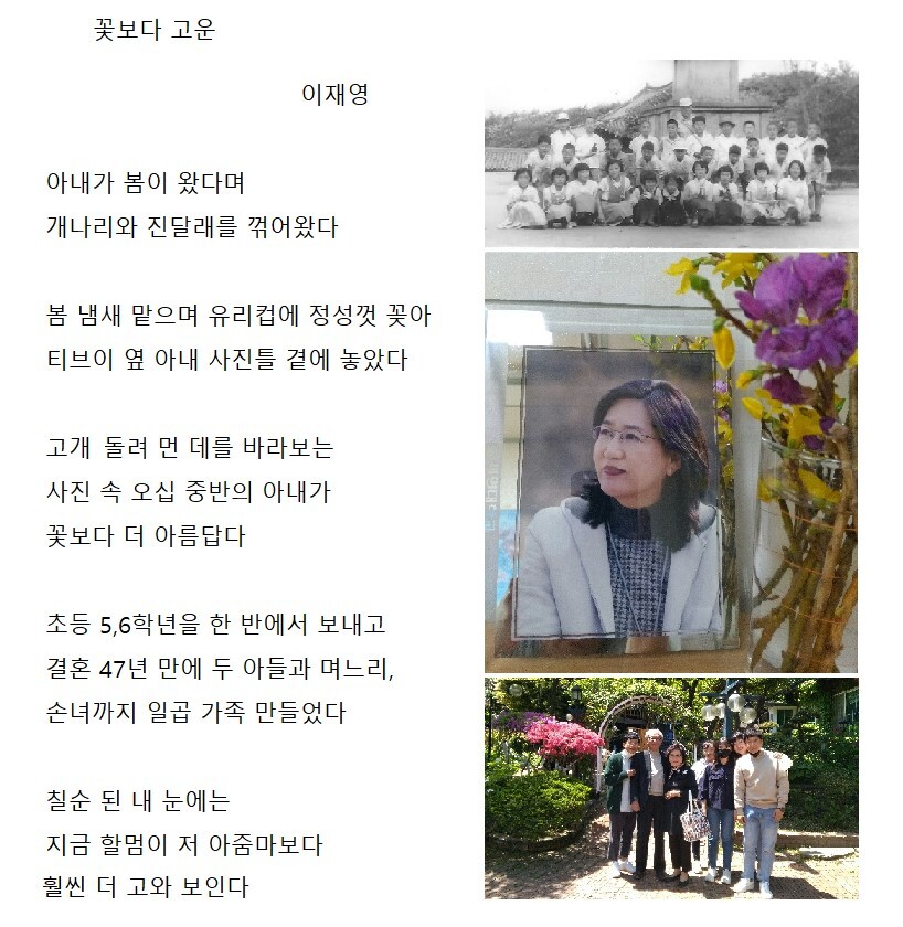 고운꽃 이미지