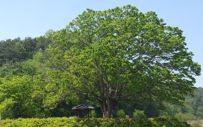 우산각 이미지