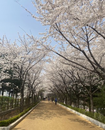 둘레길(주) 이미지