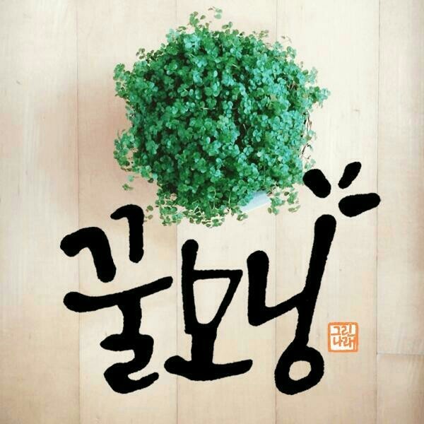 비우고 이미지