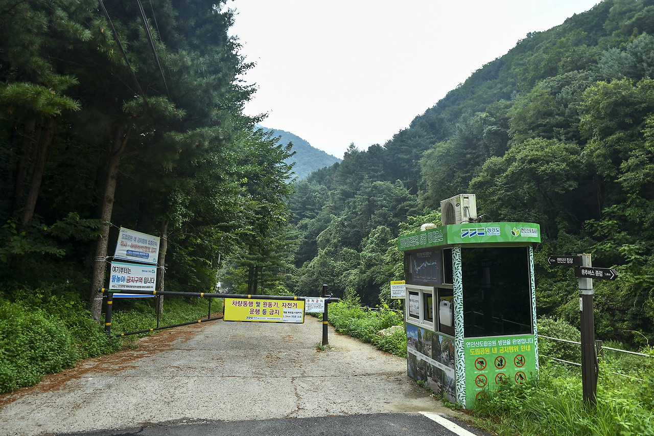 365차 이미지