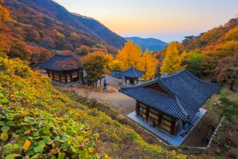 하늘연달 이미지