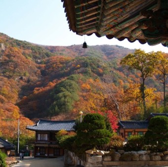 하늘연달 이미지