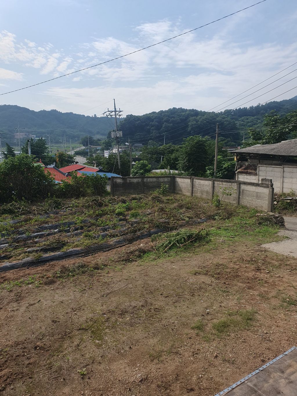주유집 이미지