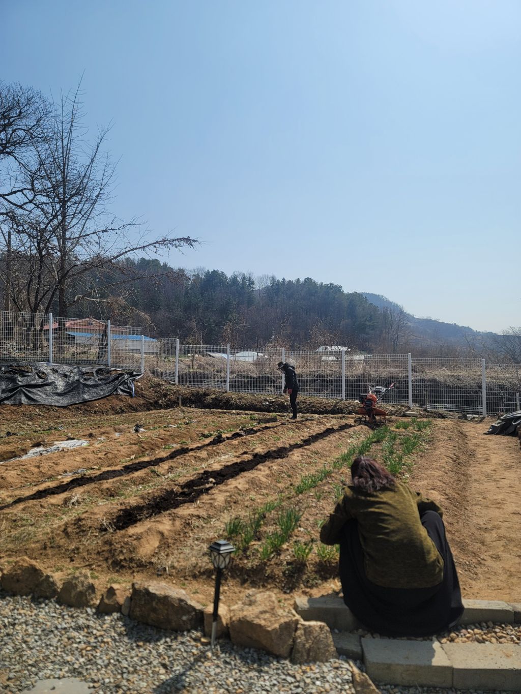 사곡농약사 이미지