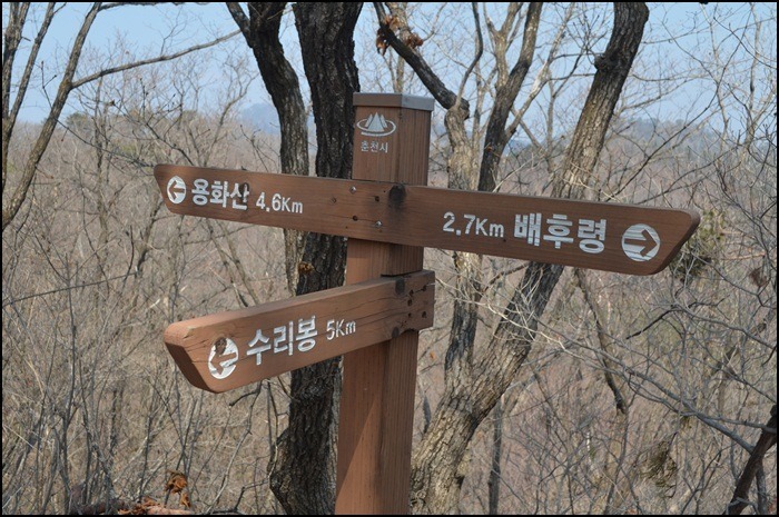 가춘 이미지