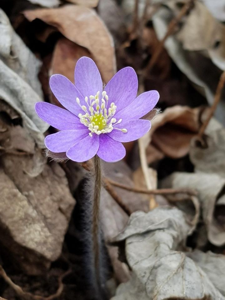 이야기정원 이미지