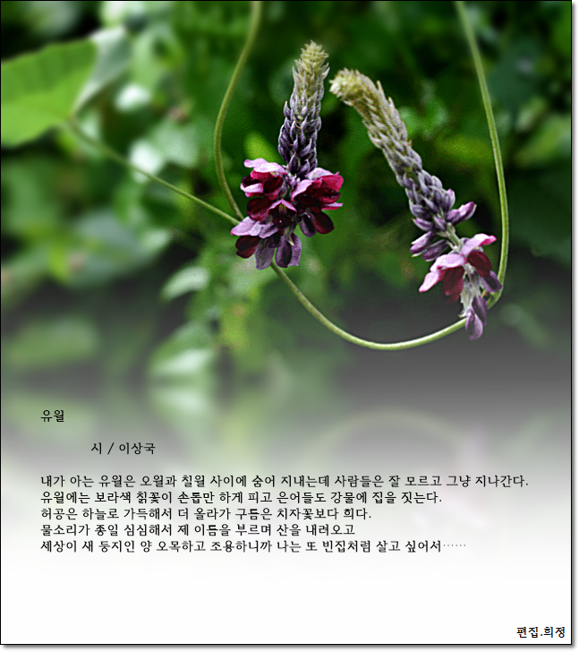 유월엔 이미지