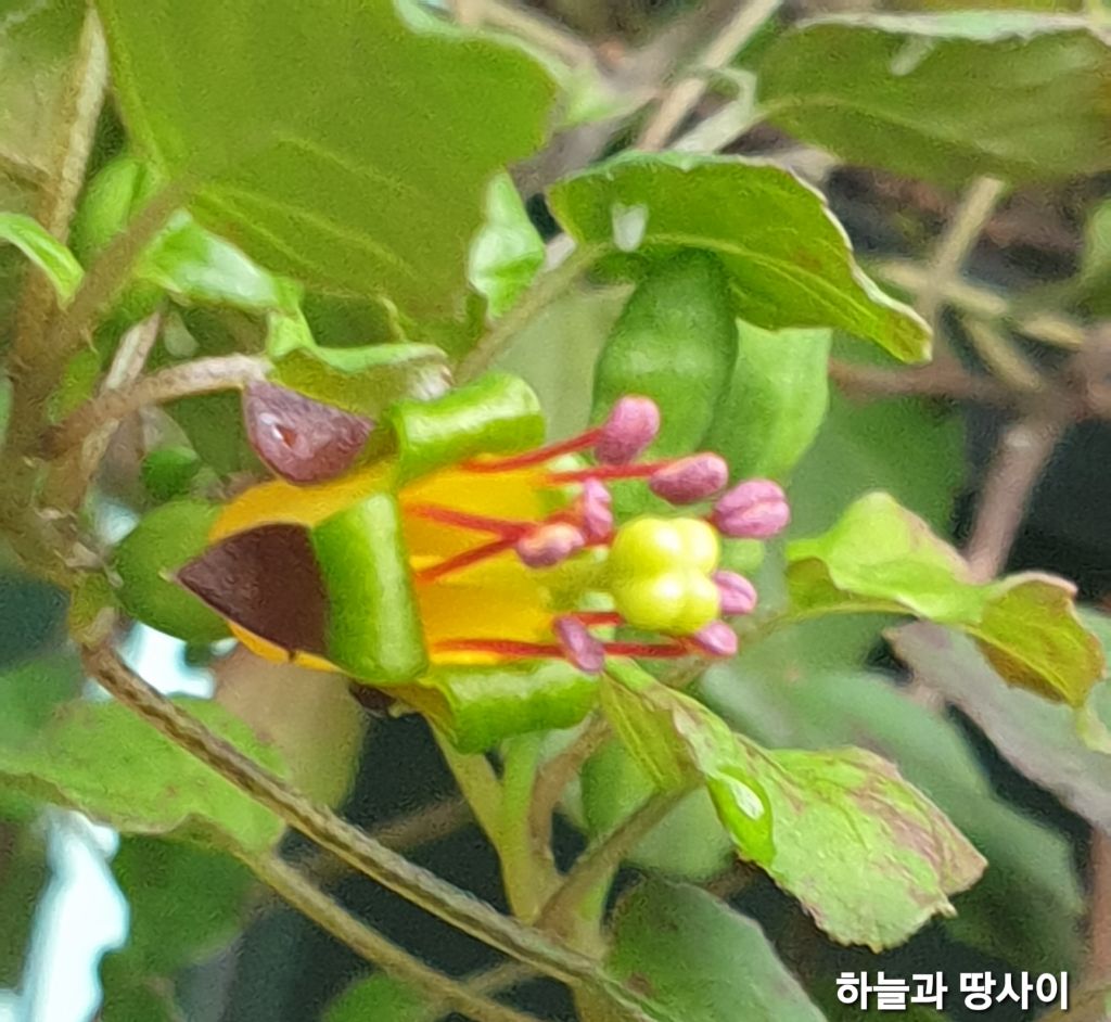 프로컴 이미지