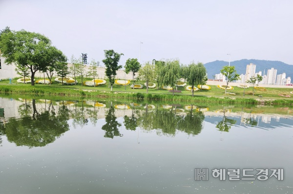 드림호 이미지