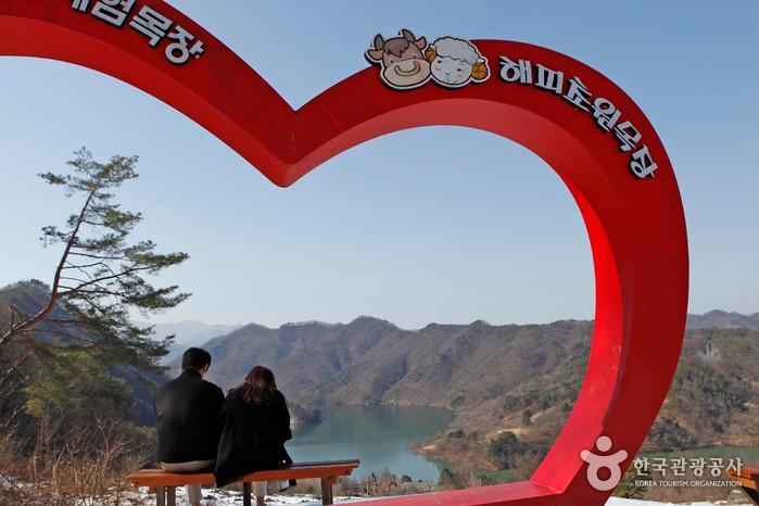 나비공간 이미지