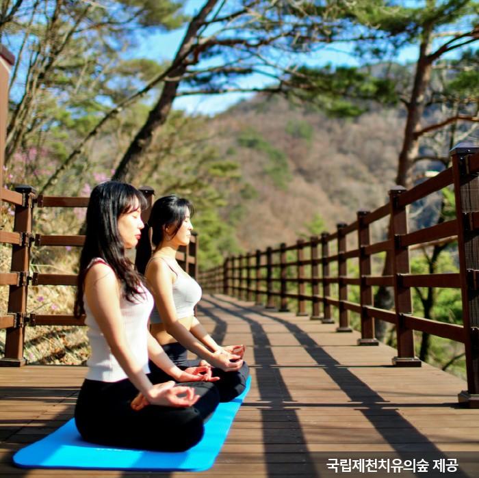 제천 치유의 숲 이미지