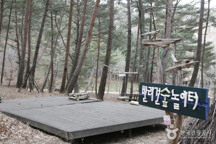 해맞이전망대 이미지