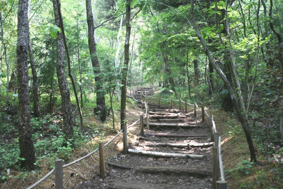 다산서적 이미지