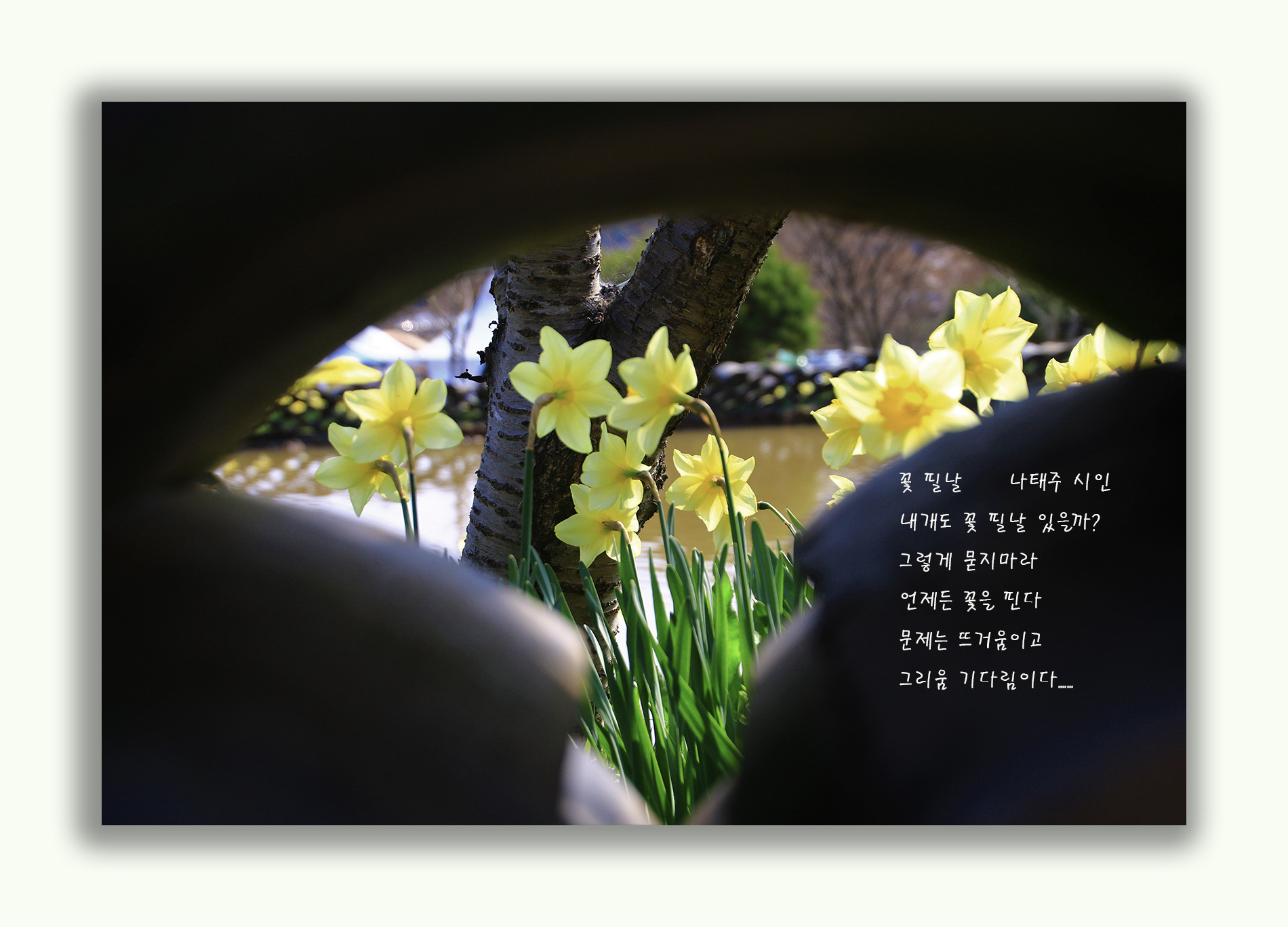 유가방 이미지